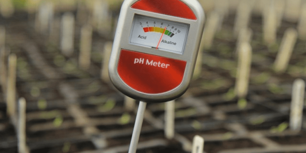 Various soil pH testers ideal for cannabis cultivation, including digital and probe-style options.