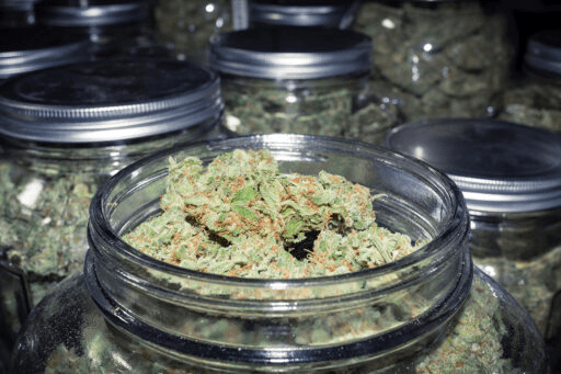 Cannabis storage area protected from sunlight.