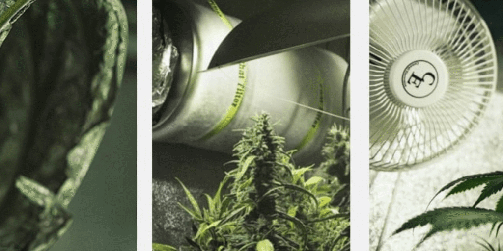 understanding the importance of airflow in cannabis growth