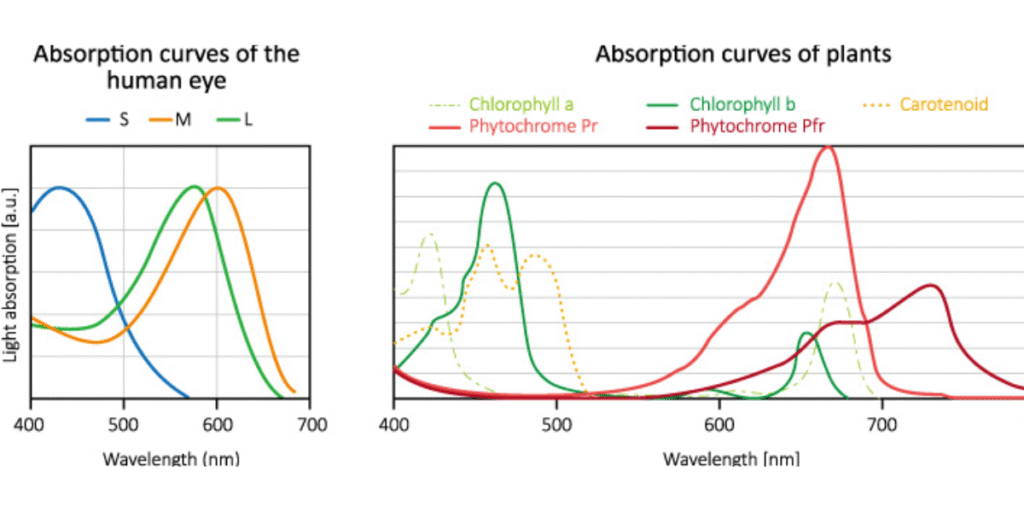 PPFD data chart showing light intensity distribution of grow lights for indoor plants.