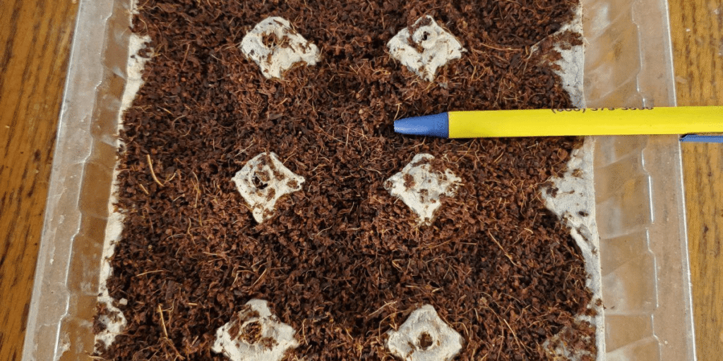 Step by step setup for cloning cannabis plants with essential tools and materials.
