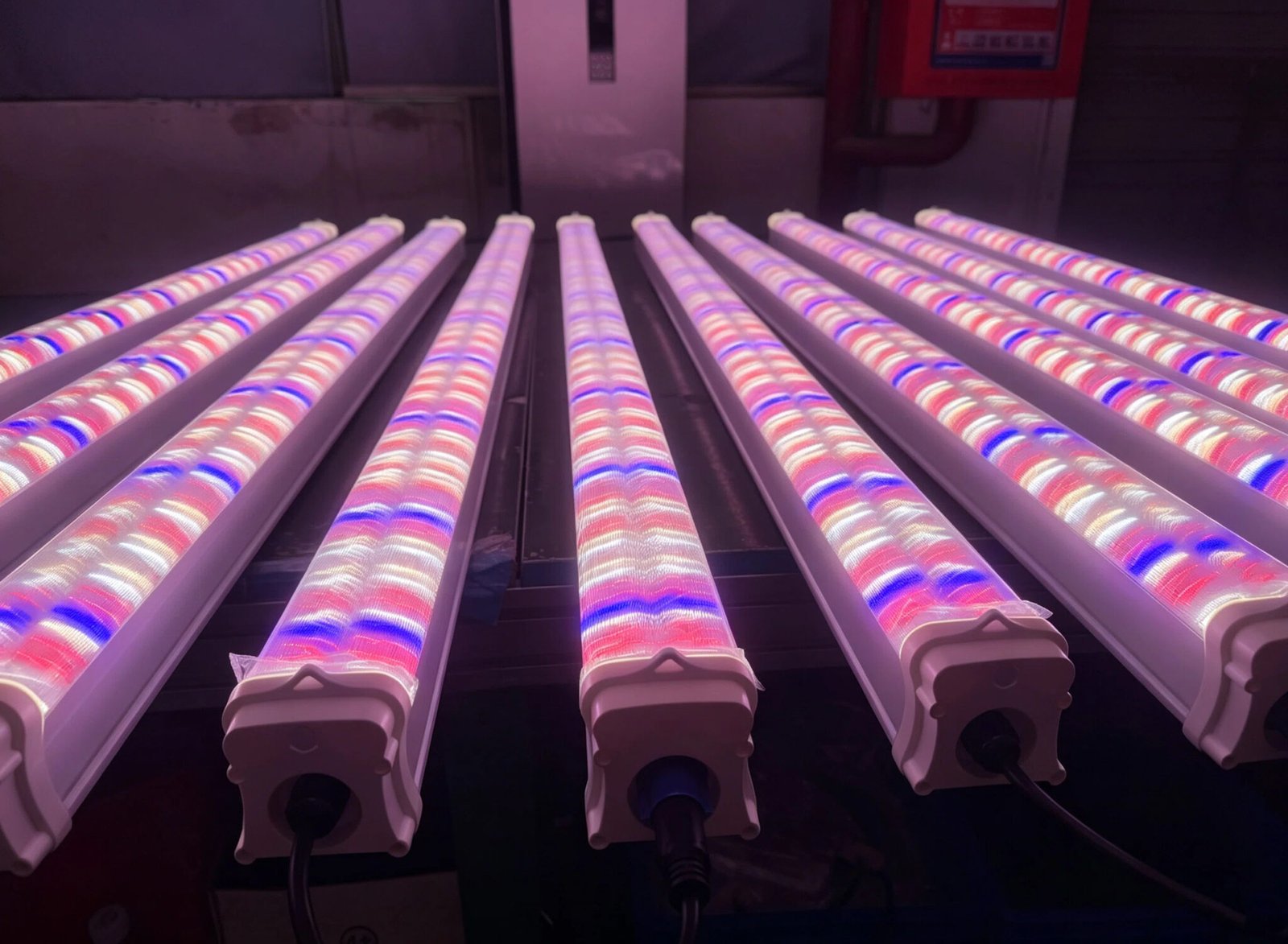Indoor Farming LED Lighting Solution.