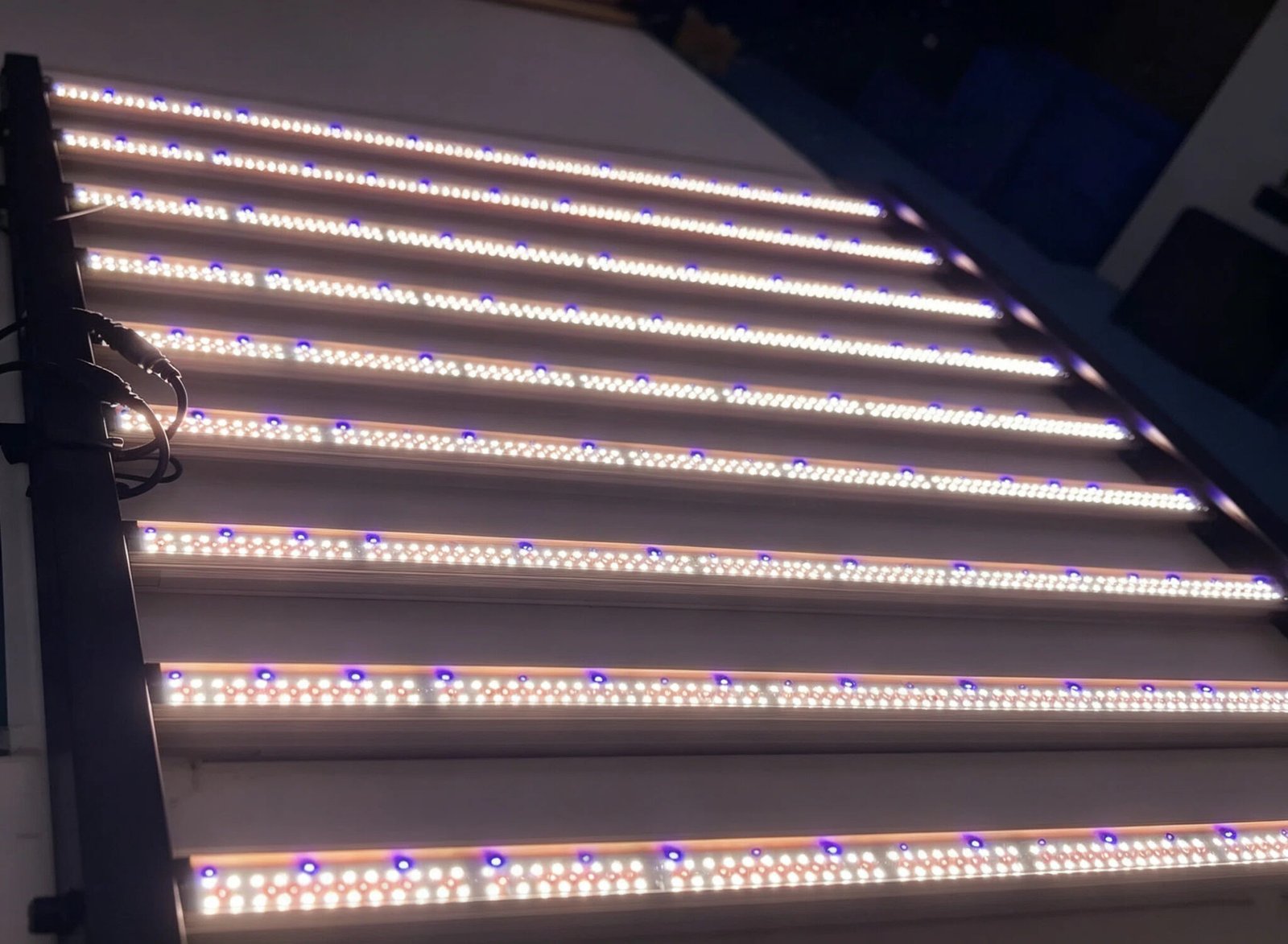 LED Grow Light Production and Testing at Greenfuturelight Factory.