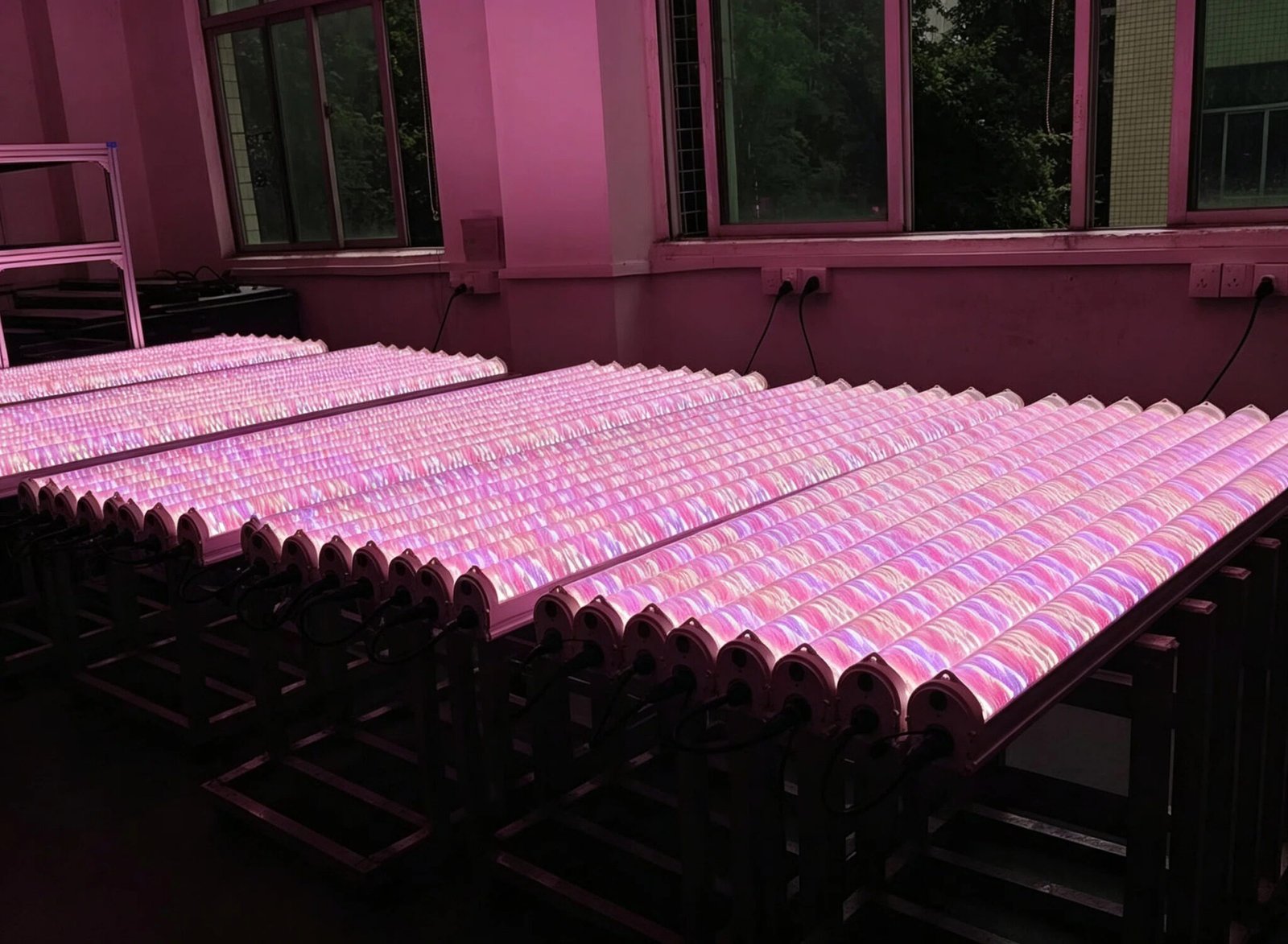 LED Grow Light Quality Testing.